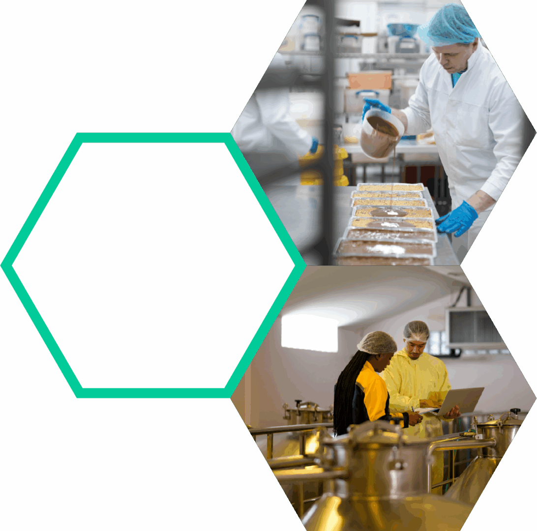 Sterile laboratory environment with scientists inspecting samples for biosecurity testing and infectious disease prevention.