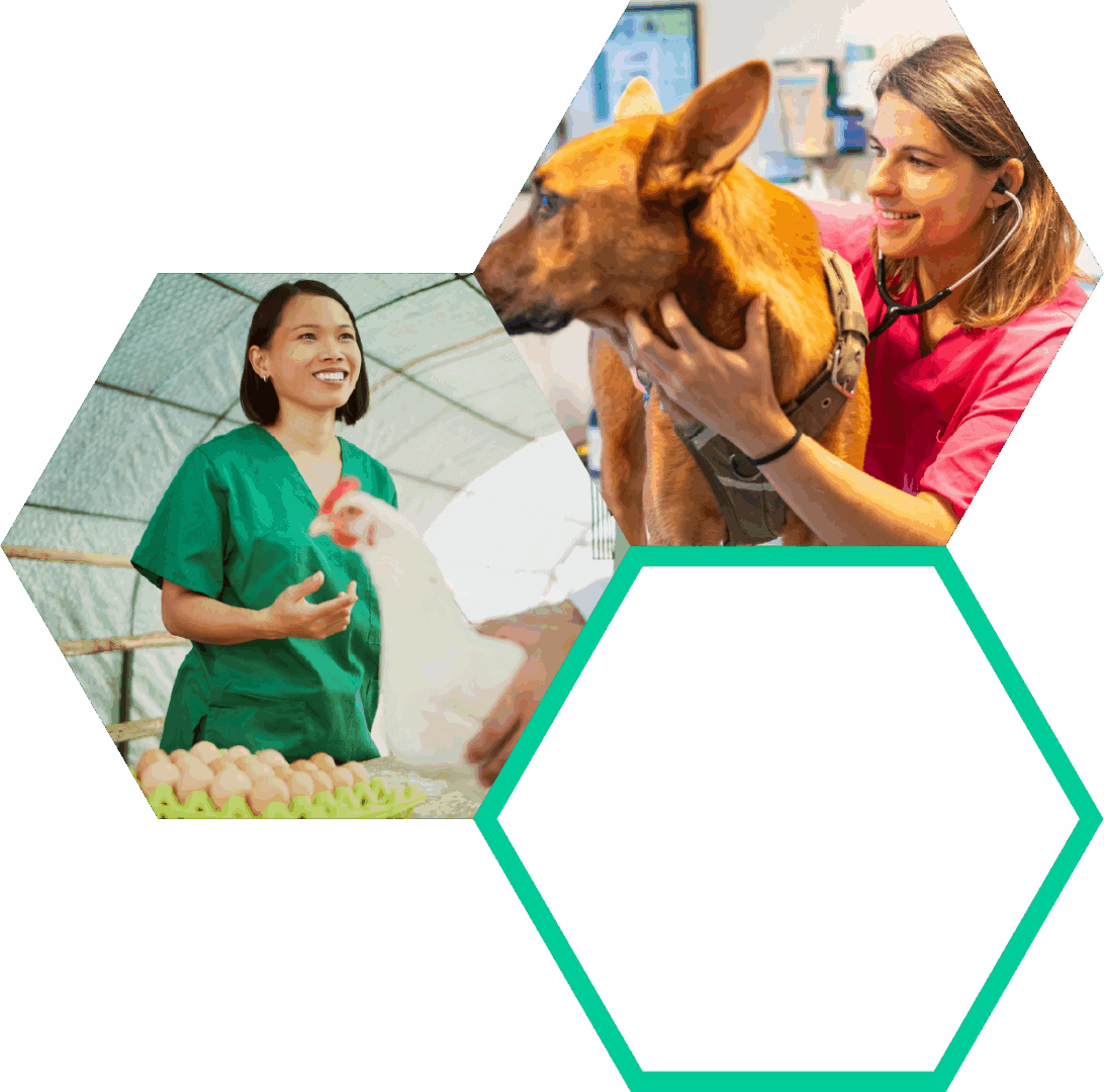 Biosecurity veterinary clinic with veterinarian and animal health care, canine consultation, organic farm with farmers and chickens, and professional animal health services.