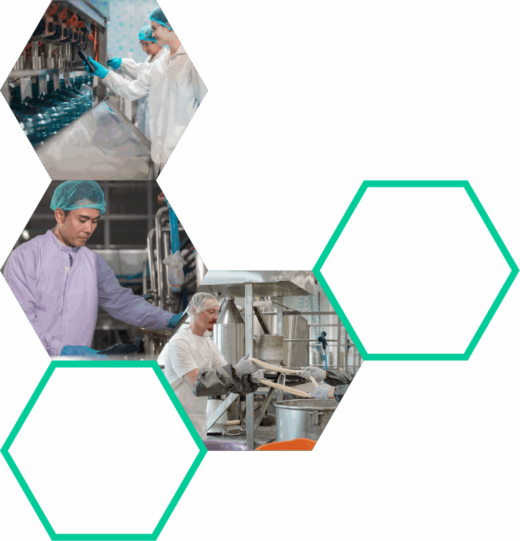 Enhanced biosecurity measures in food processing plants to ensure safety and prevent contamination. Strict protocols and sanitation practices for optimal biosecurity in the food industry.
