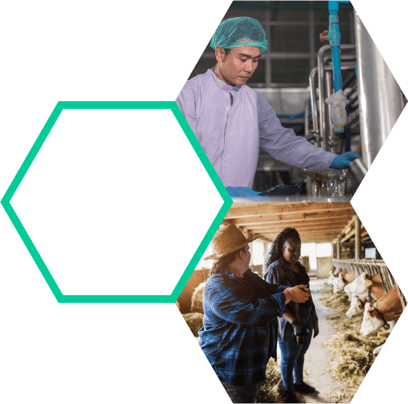 Biosecurity protocols in livestock farms, food safety measures, farm hygiene management, animal health protection, agricultural biosecurity solutions, best practices for farm biosecurity, preventing disease outbreaks in farms, sustainable farm biosecurity strategies.