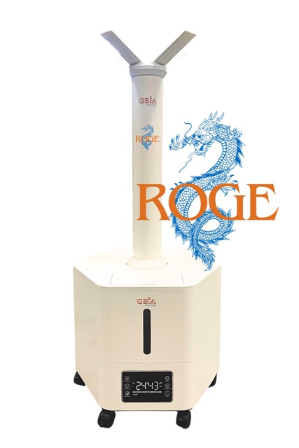 ROGE 3